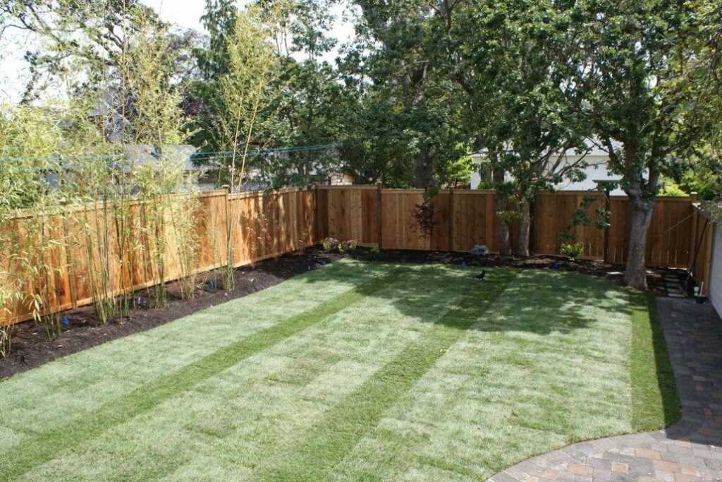 new lawn 1 1030x687 new lawn 1 1030x687